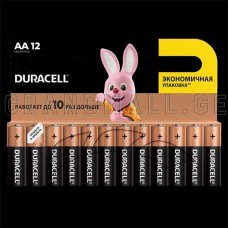 Duracell AA Alkaline batteries (12 pc.)