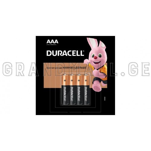 Duracell AAA Alkaline batteries (4 pc.)