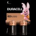 Buy, Duracell Alkaline C (2 pc.)