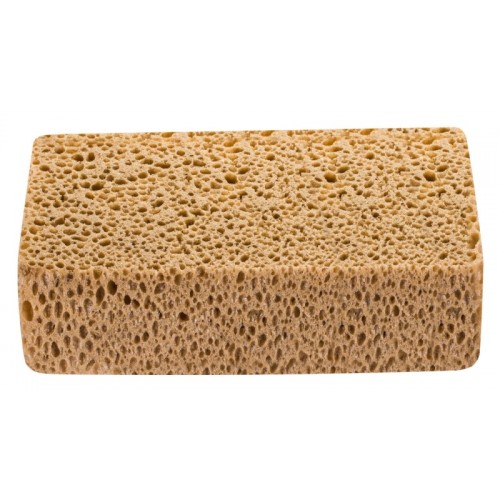 Sponge Hardy 2024-132312